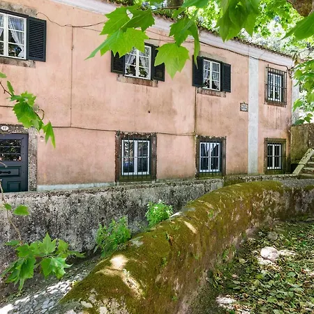 Διαμέρισμα Dreamy 3-bedroom With Garden In Sintra *